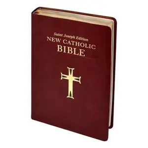 USED-St. Joseph New Catholic Bible (Gift Edition - Large Type) by Catholic Book Publishing (Bonded Leather)