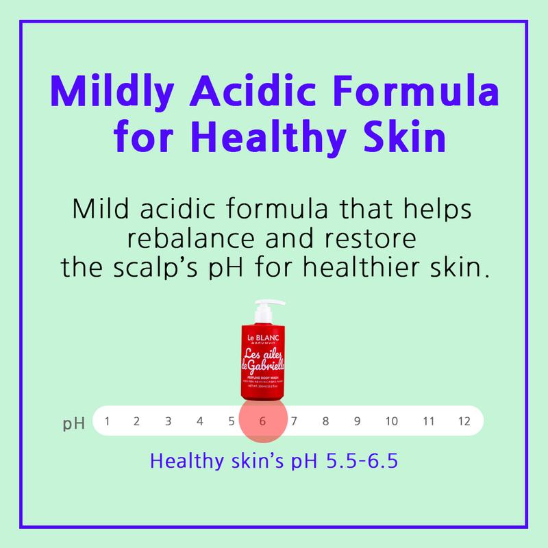 Le BLANC-Blackberry PERFUME HAIR SHAMPOO | 300ml / 10.1 fl.oz