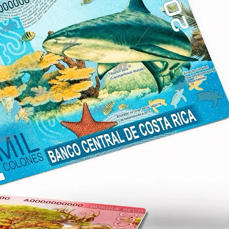 Costa Rica Colón style Themed Stickers. The Ultimate Rectangle Sticker for Anywhere & Anything | Waterproof Vinyl | Clean Minimal Tech Aesthetic | Perfect for Laptops, Phones & Everyday Use