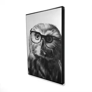 Begin Home Decor 2081-3624-AN294 24 x 36 in. Northern Saw-Whet Owl with Glasses - Black Animals Canvas Decor, Nature, Artwork, Wall, Artistic