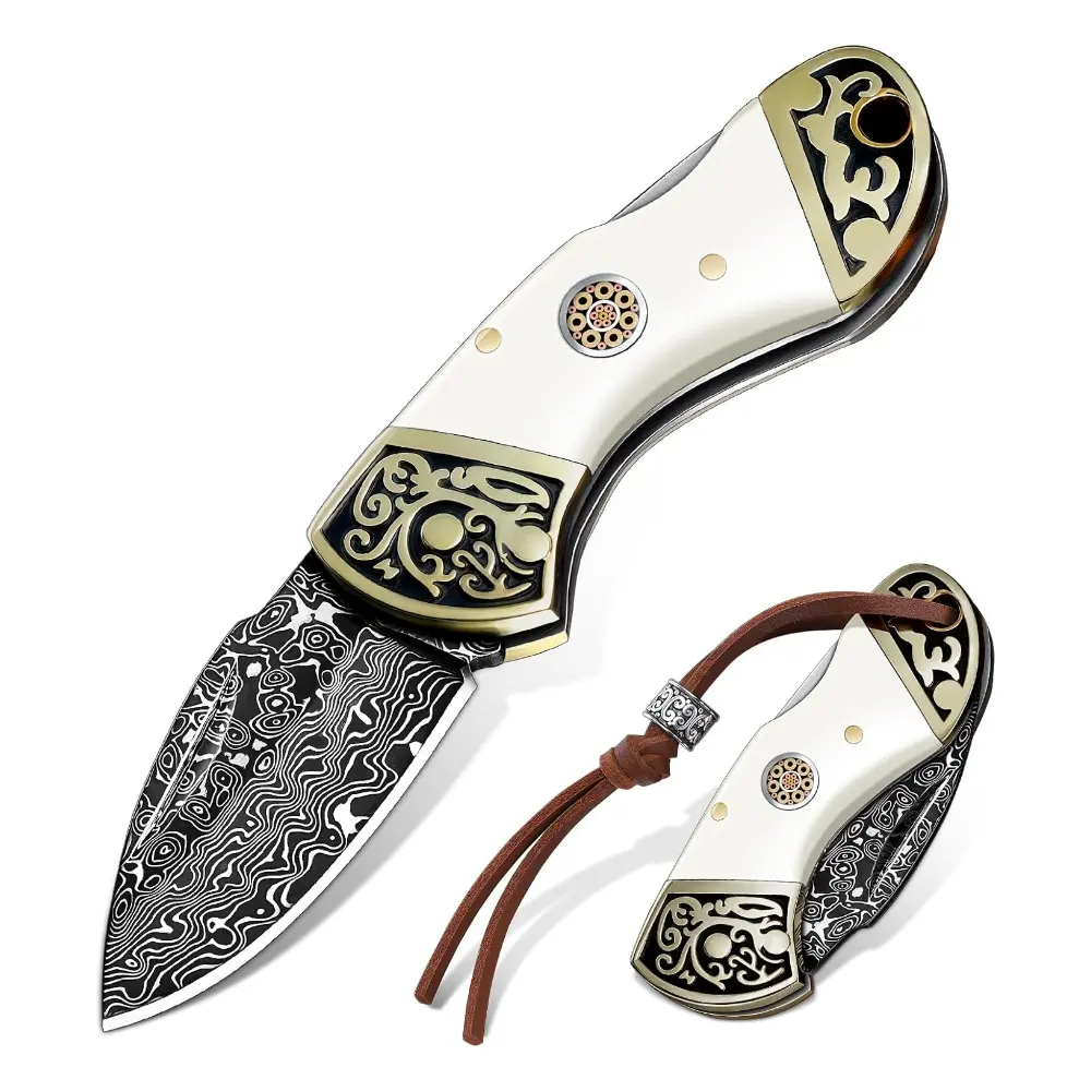 DRGSKL Folding Knife with Stainless Steel Blade,Portable Kitchen Knife for BBQ – Perfect Father's Day Gift,FallFreshness,Christmas Gift