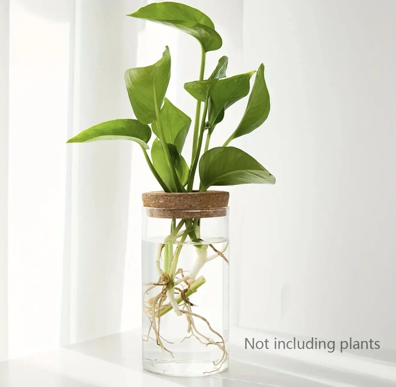 1pc Hydroponics Planter Vase for Home Decoration