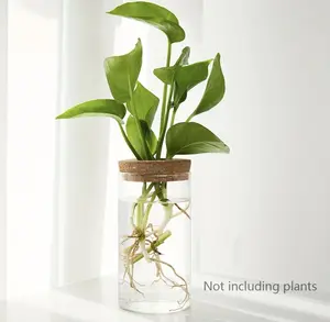1pc Hydroponics Planter Vase for Home Decoration