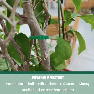 Reusable Adjustable Non-Slip Nylon Plant Ties, Ideal for Climbing Plants Outdoor, Support, Garden Maintenance, Safe and Easy Gardening Tool