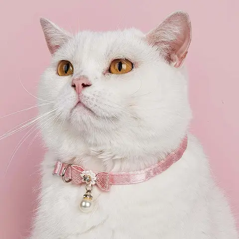 Bowknot Faux Pearl Decor Pet Collar, Adjustable Pet Accessories For Small Dogs & Cats, Adjustable Collars