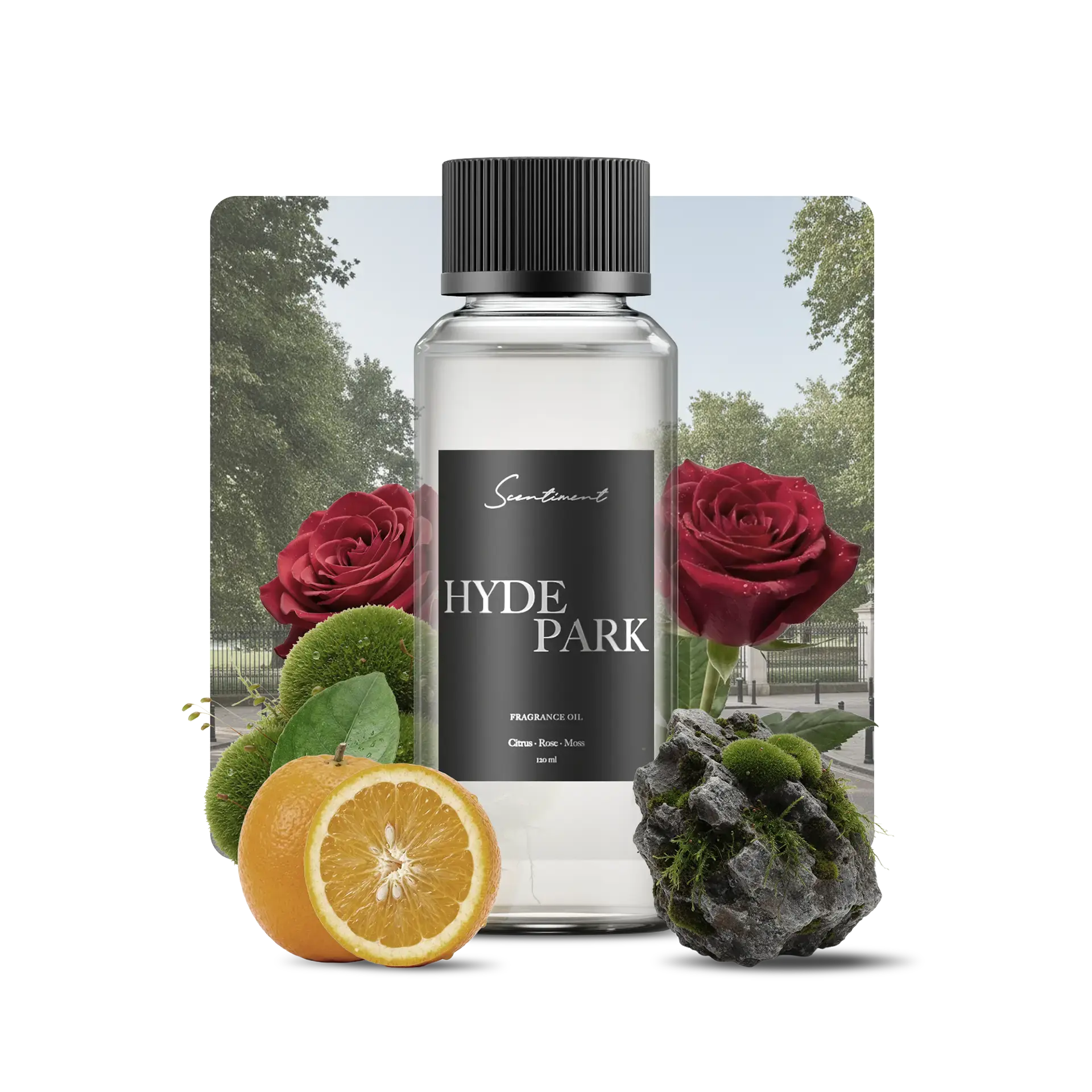 Hyde Park Fragrance Oil