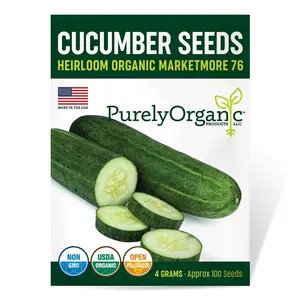 Purely Organic Marketmore 76 Cucumber Seeds (Premium Heirloom, Organic, Non-Gmo, Open Pollinated, Vegetable, Full S) - Approx 140 Premium Seeds SimplyGro Cucumber Plant