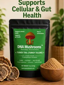 Turkey Tail Mushroom-Supports Gut Health, immune wellness, antioxidant support, high quality ingredients, Pure Potent no fillers, no coffee. Mind blowing what studies show