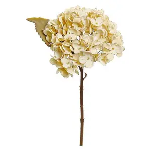 Select Artificials, Inc. - Dried Hydrangea Cutting,13", Candlelight