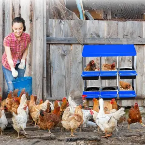 6-Hole Blue Chicken Nesting Box with Roll-Away Egg Collection System, Ventilation Holes, Rustproof Material Plastic Tray, Keyhole Mounting – Chicken Laying Box for Hens or Ducks