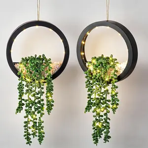 Der Rose 2 Pack Lighted Hanging Plants, Artificial String of Pearls Plants with Warm LED Lights, Aesthetic Fake Plants for Black Bedroom Bathroom Living Room Wall Decor, Party & Gift for Women