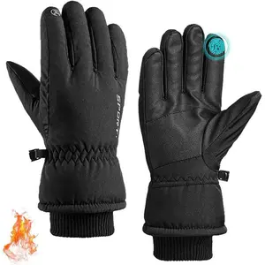 Winter Gloves, Waterproof Thermal Touchscreen Ski Glove, Suitable for Skiing, Cycling, Hiking, Driving, Typing, and Freezer Work