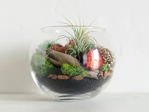 DIY Terrarium Kit, DIY Terrarium, Air Plant Terrarium Kit, Gift For Mom, Birthday Gift, Aunt Gift, Natural Floral Home Decor, DIY Gift Kit
