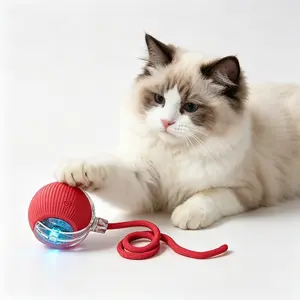 2026 Upgraded Durable USB Rechargeable Toy with Tails Kitten Rolling Ball Toy for Dogs & Cats Cute Pet Supplies Accessories