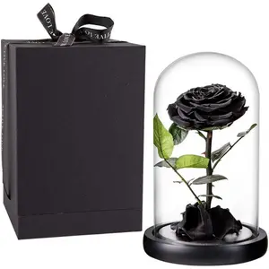 Preserved Roses Black Roses Real Rose in Dome, Preserved Roses Never Withered Gifts for Her, Mother's Day, Birthday Gifts for Women (9 inch, Black)