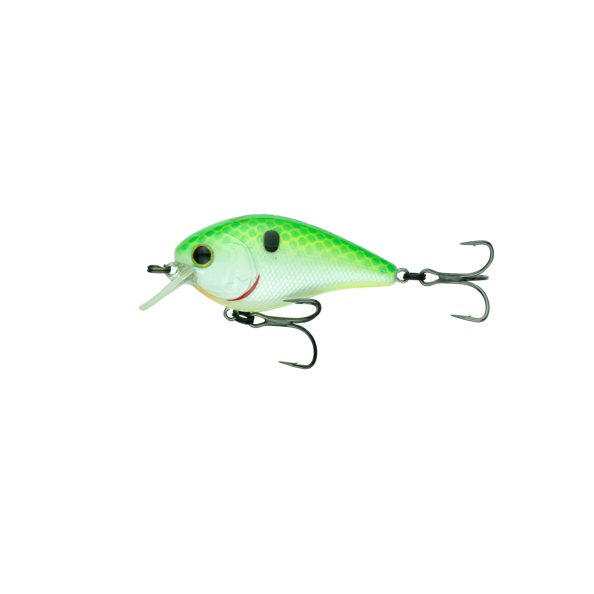 Candy Citrus Shad