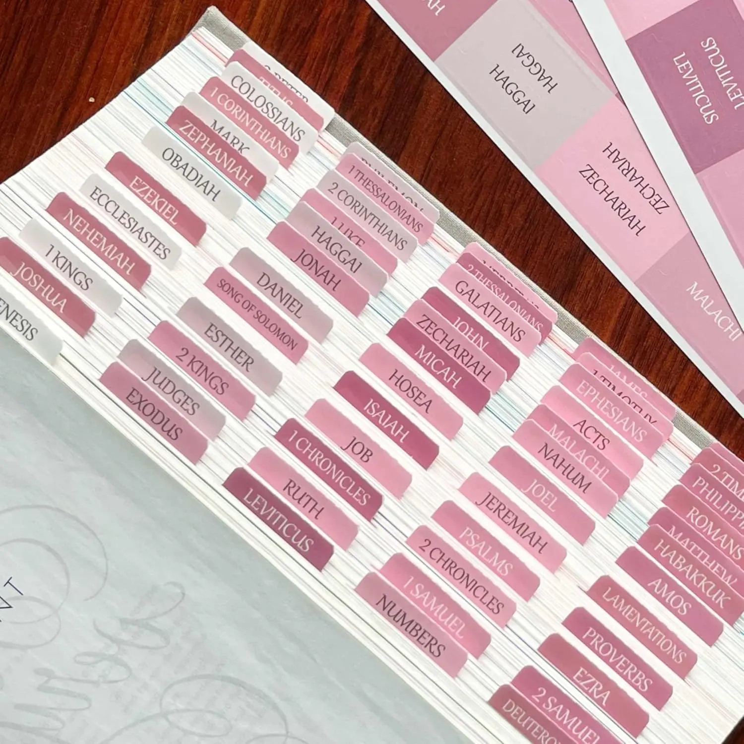 Women's Laminated Bible Index Divider Tabs - Large Print, Repositionable Peel-and-Stick Stickers, High Legibility, Convenient Quick Access Office Stationery Book Accessories, Book Lover Gifts (White, Pink)