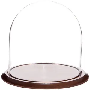 Plymor 11.75" x 12" Glass Display Dome Cloche