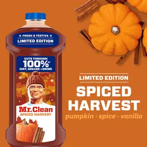 All Purpose Cleaner, Cleaning Liquid, Spiced Harvest – FASTSHIPPING