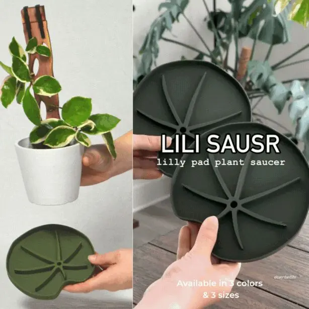 Lili™ Sausr - Lilly pad shaped Saucer - Spill tray - Drip tray for houseplants - Humidity tray