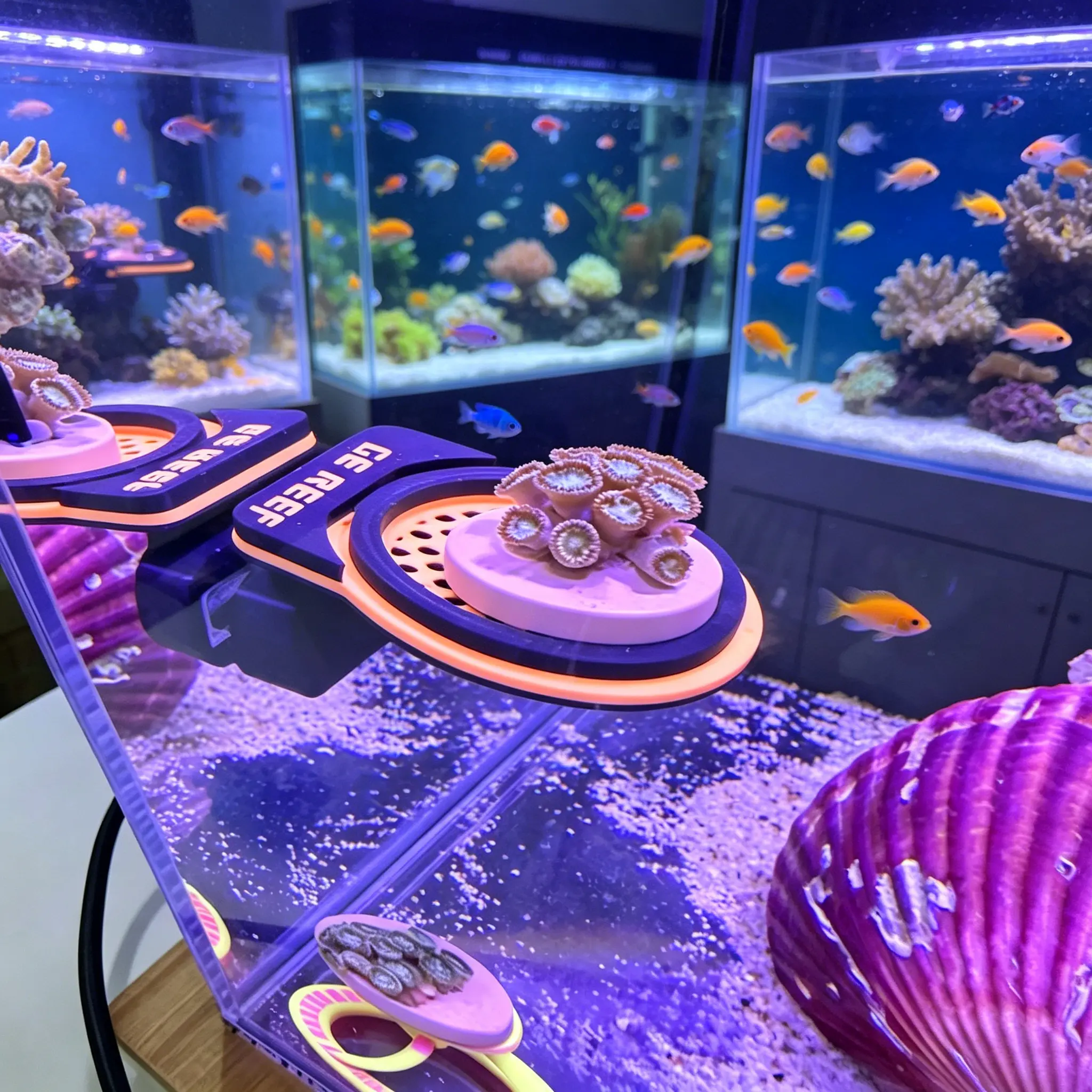3D-Printed Coral Frag Rack, Magnetic Mount, Adjustable Positioning – For Saltwater Reef Tank Aquascaping small fish decorative stone aquatic  live marimo pet