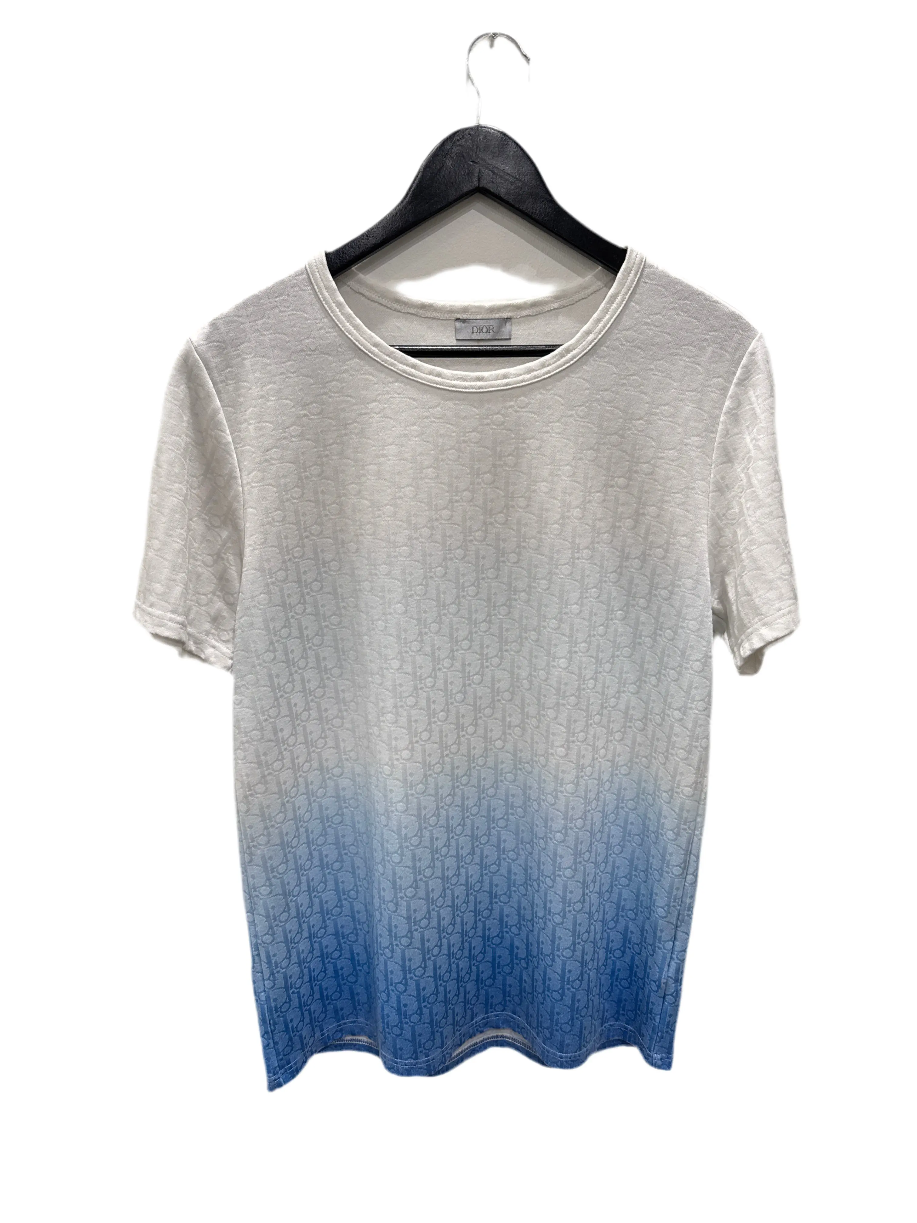 Dior Oblique Gradient Tee Blue/White Size Large