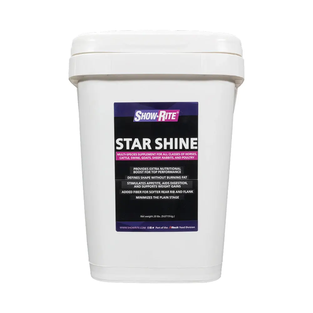 Star Shine Star Shine