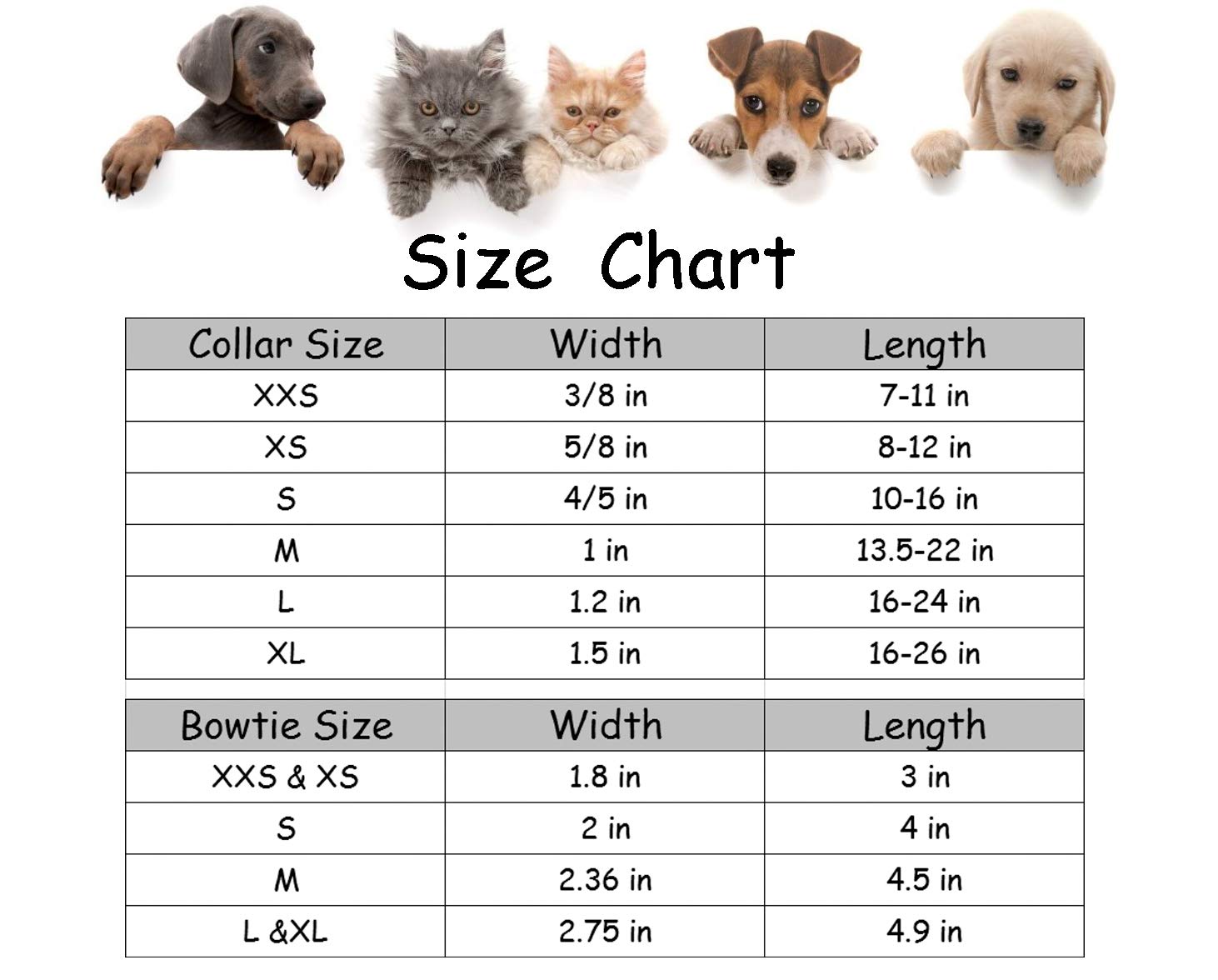 LIONET PAWS Polka Dot Dog Collar with Bowtie, Durable, Adjustable & Comfortable Collar for Small to Large Dogs and Cats (Summer Vibes), Polka Dot Pattern