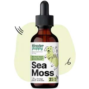 Irish Sea Moss Drops for Dogs - Thyroid Support & Energy - Nutritional Drops with Liquid Seamoss Extract - Dog Vitamins and Supplements for All Breeds & Sizes - Alcohol-Free - 2 fl oz