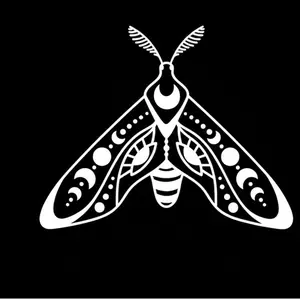 Celestial Luna Moth Vinyl Decal, Moon Phases Moth Sticker, Witchy Car Bumper Decal, Dark Academia Laptop Sticker, Mystical Nature Window Art, Celestial Moon Moth Vehicle Graphic