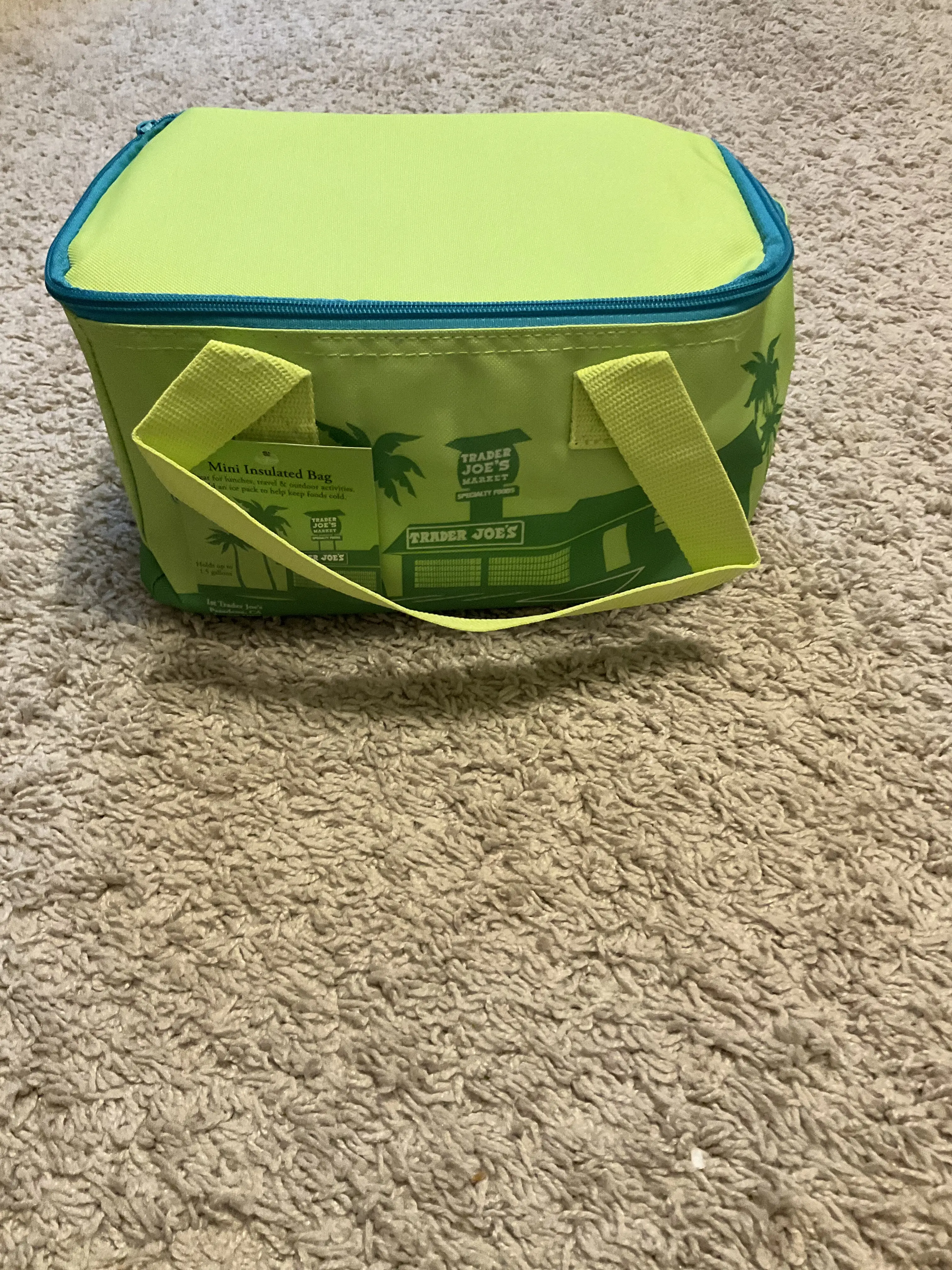 Trader Joe's Mini Insulated Tote Bag Lime Green
