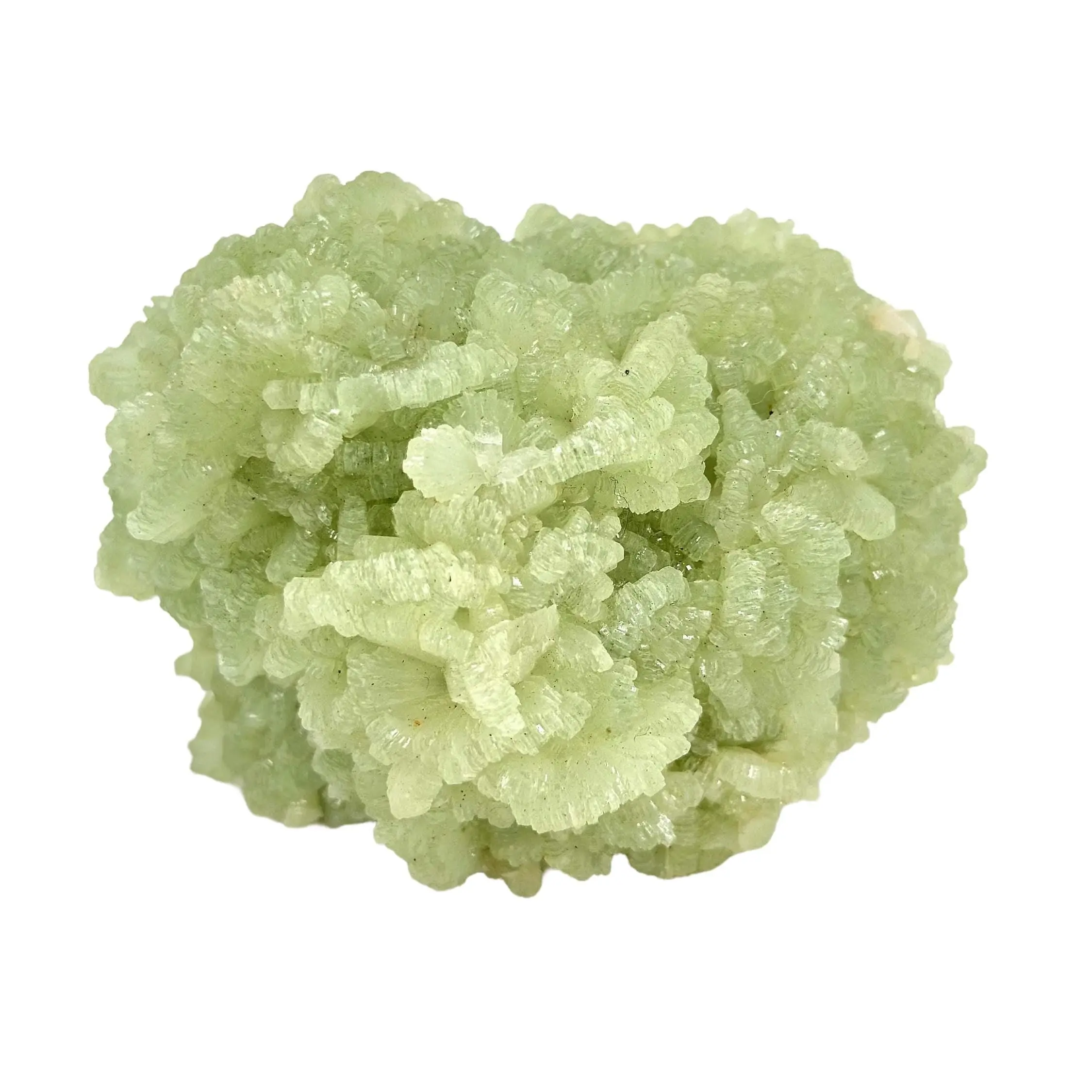 Raw Prehnite Epitaxial Fan Cluster - Natural Mineral Specimen