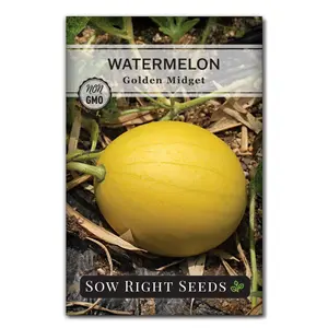Golden Midget Watermelon