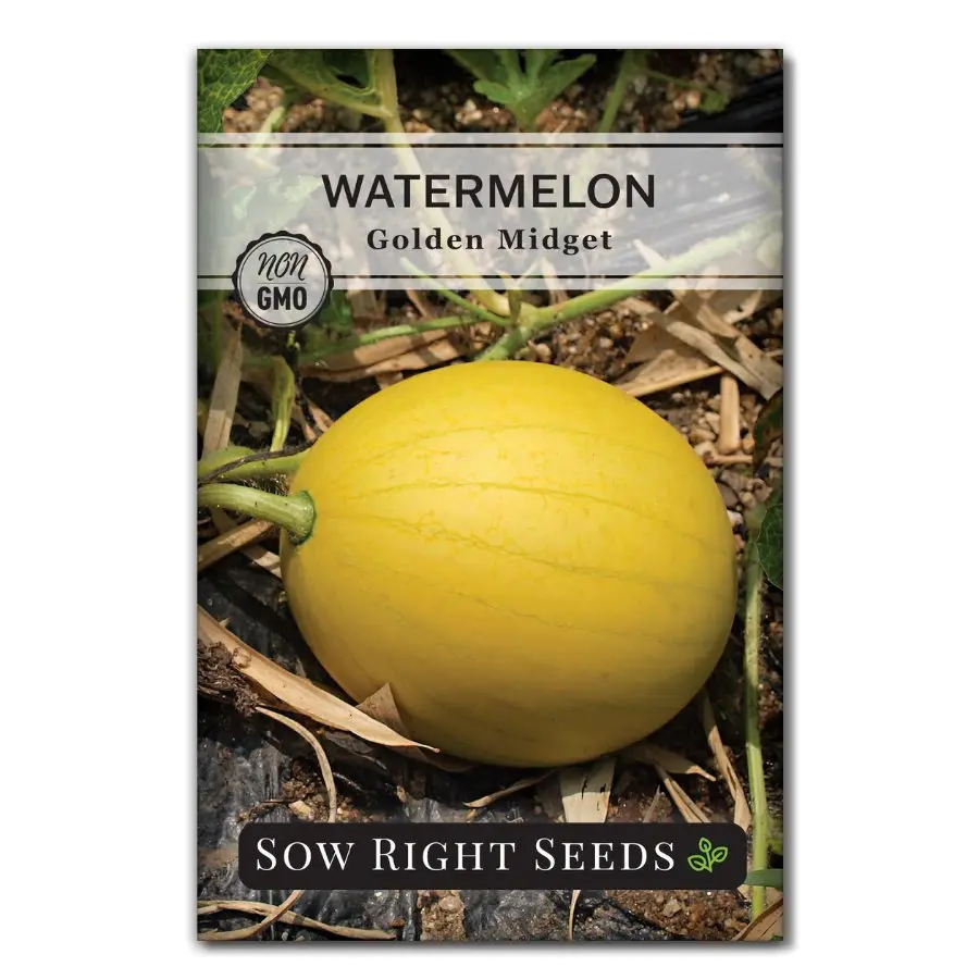 Golden Midget Watermelon