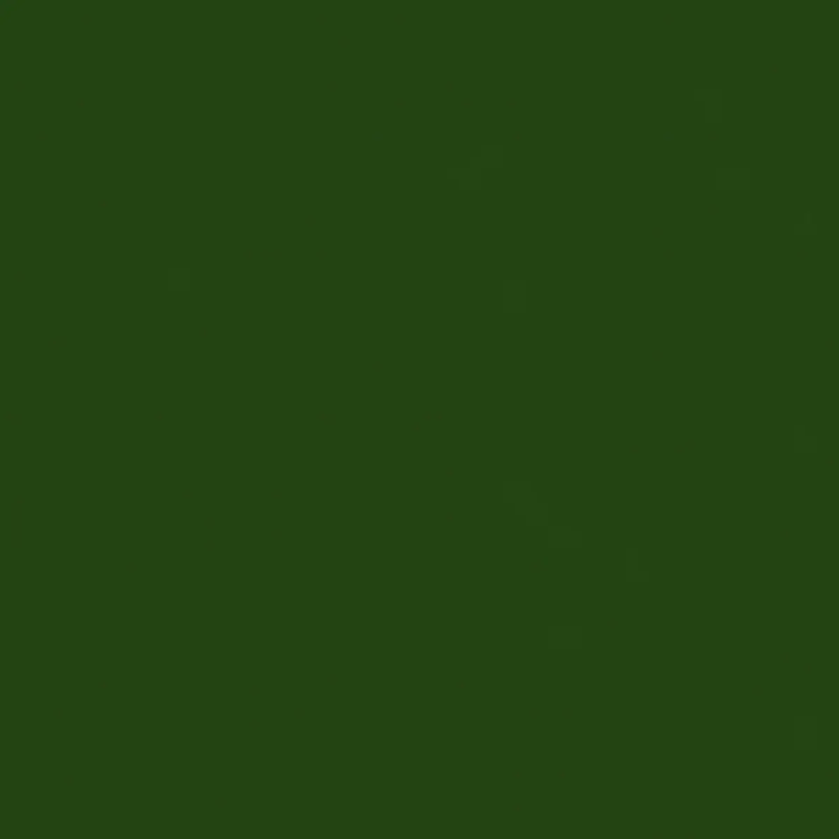 Roscolux Green Diffusion Sheet, 20x24in Light Diffusing Material for Photographers