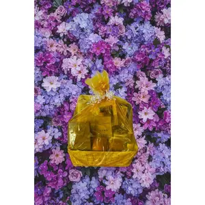 SF Premium Variety Basket (large)