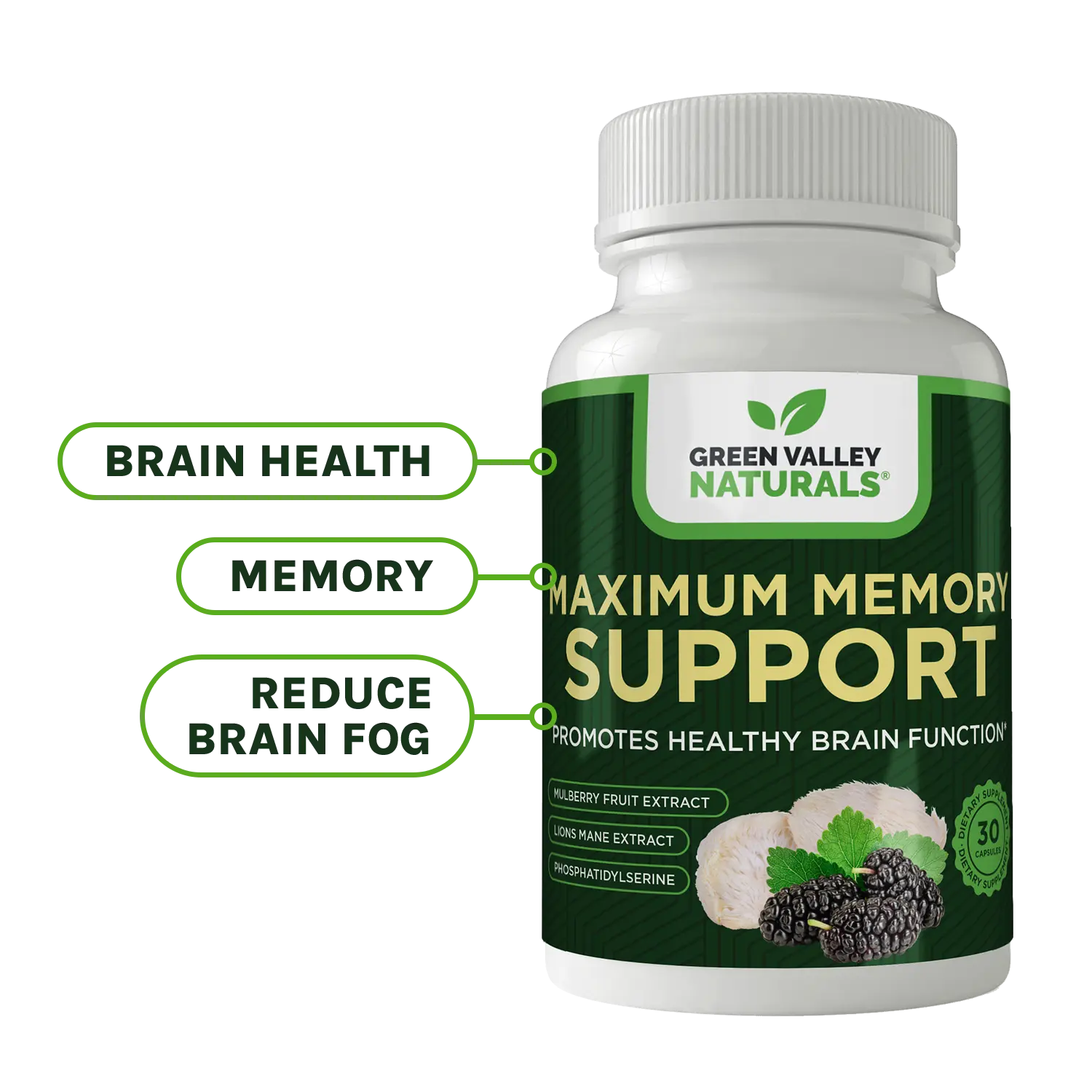 Maximum Memory Support – Brain Health & Memory Support Supplement with Lion's Mane, Phosphatidylserine, Folate & B-12, 30 Veggie Capsules