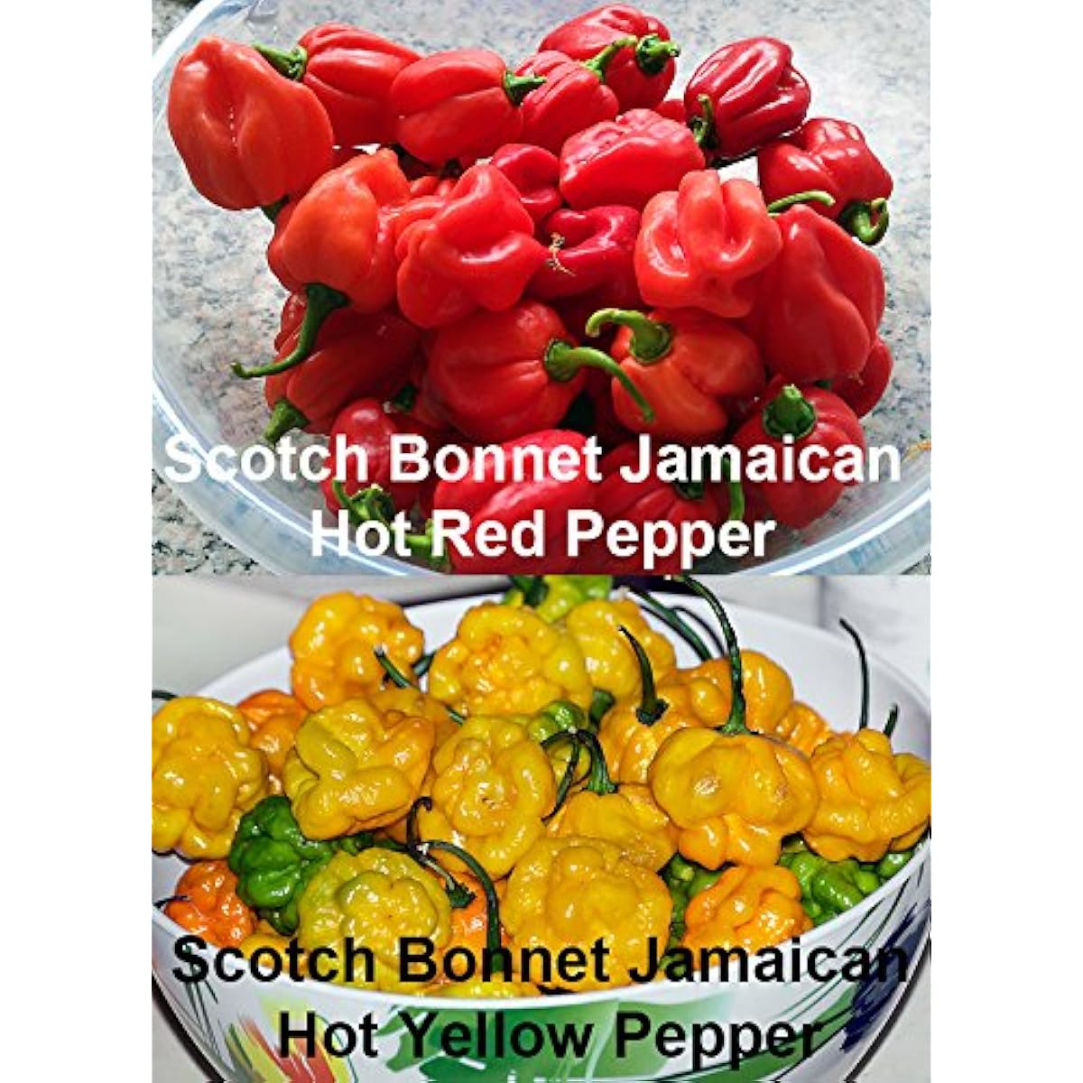 Please Read This is A Mix 30 Hot Pepper Mix Seeds 16 Varieties Non-GMO , Tabasco, Jalapeno, Yellow and Red Scotch Bonnet, Jalapeno Habanero US Grown Capsicum annuum