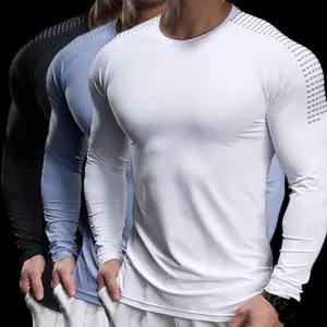 Men's gym T-shirt, fashionable casual sports, men's sportswear, sports T-shirt, gym exercise running T-shirt, men's sportswear men's breathable, 2025 Spring and Autumn sports performance long sleeved T-shirtRAIMENTRY