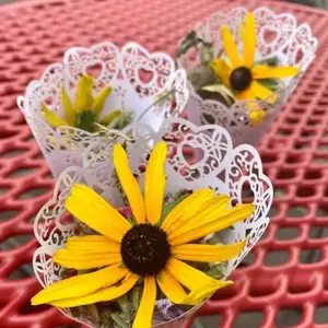 Wedding Confetti Cones – Elegant Paper Cones for Tossing Flower Petals or Confetti, Perfect for Weddings and Special Celebrations