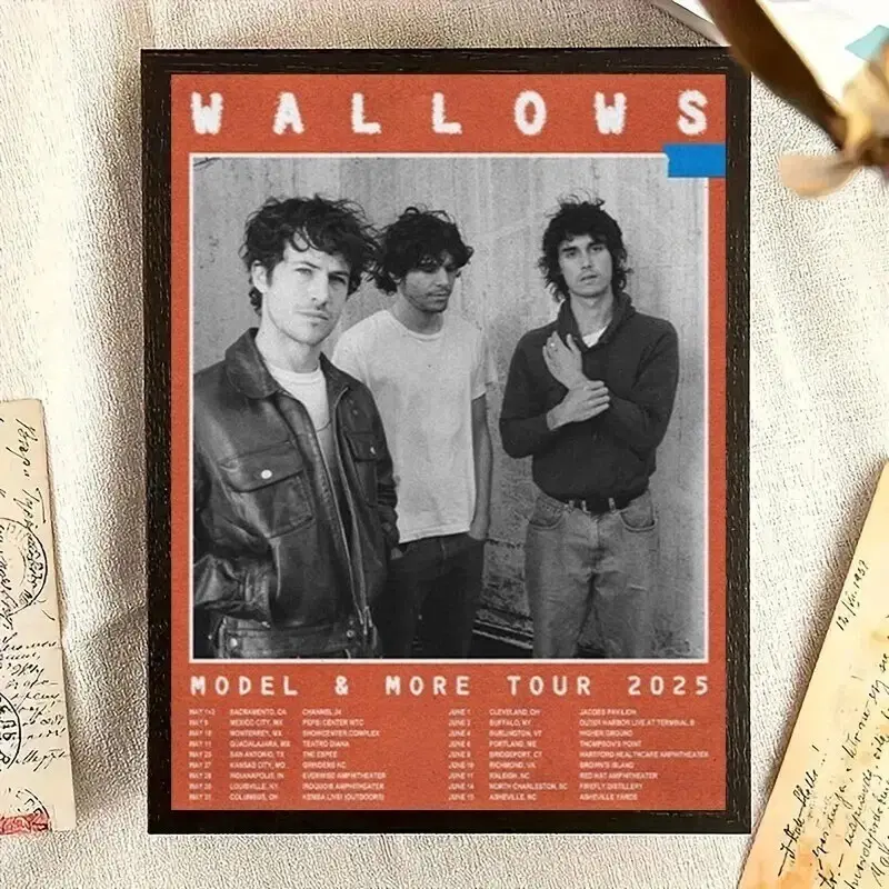 Wallows Model & More Tour 2025 Poster