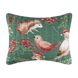 Greenland Home Fashions GL-2404BKS Willow King Sham, 20x36 Inch