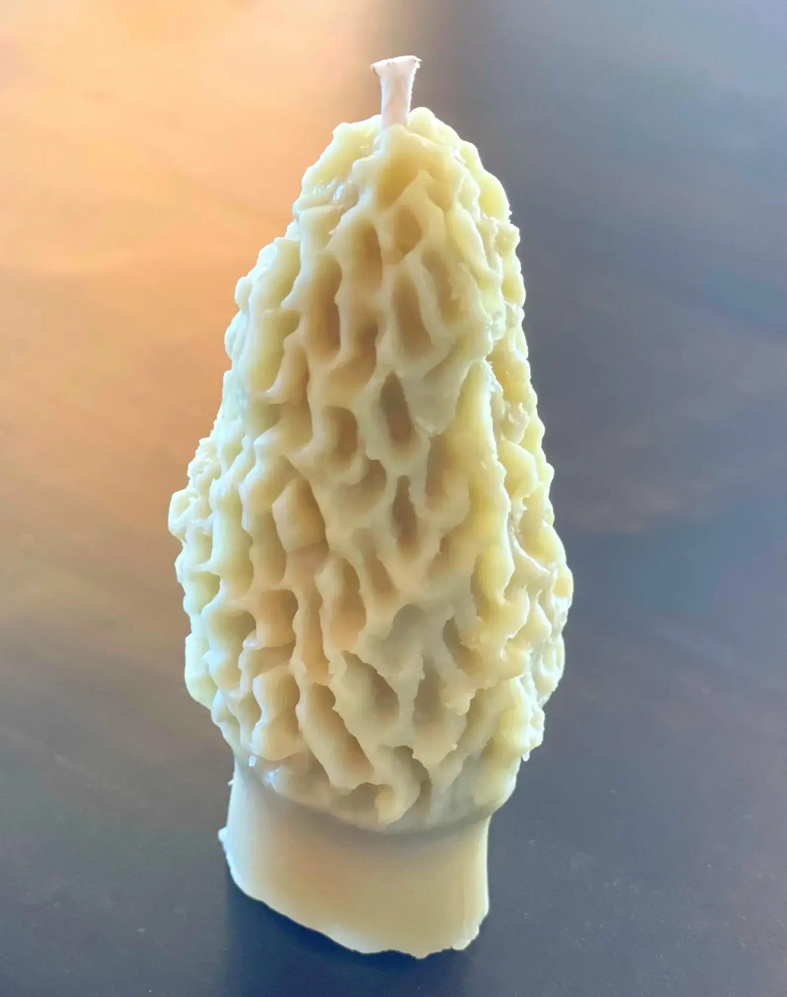 Morel Beeswax Candle, Colorado Local Wax, Mushroom Lovers Candle