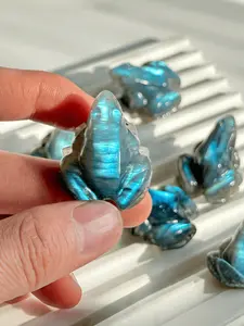 Random Shaped Natural Labradorite Frog Decoration, Double Sided Reflection Ultrastrong Light, Flash Crystal, Home Decoration, Exquisite Collection
