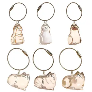 Cat Hair Memorial Pendant Set - 6-Piece Pet Keepsake Soft Fur Capsule Pendants, Portable Keychains for Cat Lovers