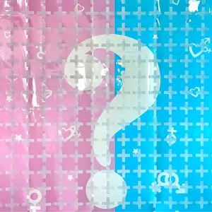 Gender Reveal Decorations for Baby Shower, Blue Rain Curtain with Fringe, Balloon Backdrop for Boy or Girl Announcement