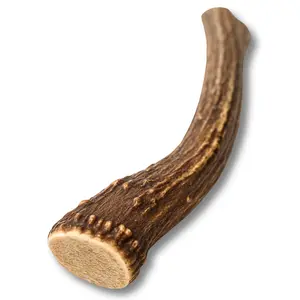 1 Pack - XL Extra Large | Deer Antler Dog Chew