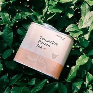 Tangerine Pu Erh Tea,Fruity Aroma,Rich In Tea Polyphenols,Tea Polysaccharides Regulate Blood Sugar,Boost Blood Circulation,Plant-based & Gluten Snacks,Vitamins, Minerals & Wellness Supplements,Prevent the Flu,Cold-fighting Foods,Tea Sets bundle sets
