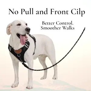 PawWave Complete Walk & Ride Set | No-Pull Dog Harness with AirTag holder+ Car Safety Leash perfect for daily walks and Rides