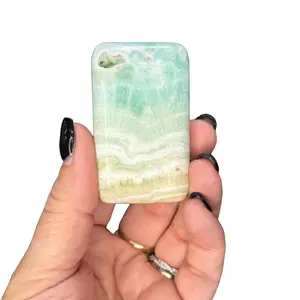 Caribbean Calcite Palm Stone Caribbean Calcite Palm Stone